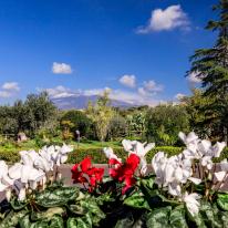 VIlla Rigoletto, foto immagini 18 anni Belpasso catania CT